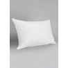 Oreiller 50 70 cm BIEN FERME et BIEN GARNI coussin naturel NEUF plumette ET duvet MADE IN FRANCE