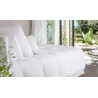 Couette HIVER 200*200 cm BIEN GARNI très chaude garnissage naturel neuf 360GR/M2 plumette & duvet 100% FRANCE pour lit de 140