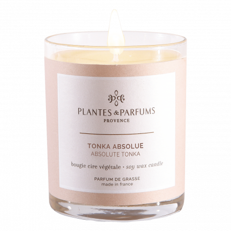Tonka Absolue BOUGIE naturelle fabriqué artisanalement en Provence, fragrances notes orientales, balsamiques, fèves, vanille.
