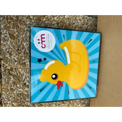 CANARD coquin qui n'est pas un sextoys DUCK tableau encadré 30 x 30 cm fabriqué en france