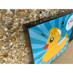 CANARD coquin qui n'est pas un sextoys DUCK tableau encadré 30 x 30 cm fabriqué en france