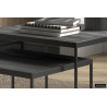 Set de 2 TABLES de salon GIGOGNES au DESIGN très actuel effect BOIS brulé NOIR pied acier laqué noir LOFT INDUSTRIEL