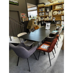 Table 6 - 10 PERSONNES pied design pour salle à manger CONTEMPORAINE finition céramique 2 RALLONGES  Réf TASMAN