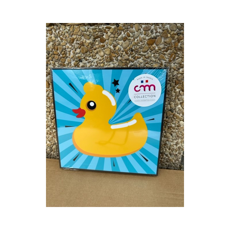 DUCK, CANARD BAIGNOIRE TABLEAU IMAGE HAUTE DEFINITION COULEUR ECLATENTE montée SUR CADRE