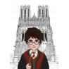 Hermione, Harry, Ron tableau triptyque promenade Rémoise fontaine Subé, cathédrale notre dame de Reims, porte de MARS
