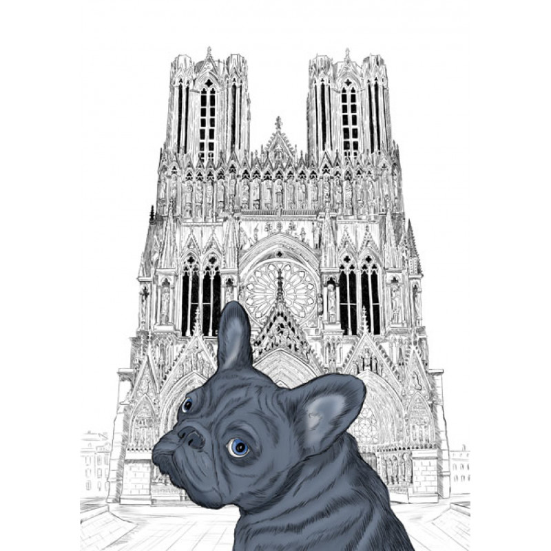 BULL-DOG FRANCAIS en promenade Rémoise à la cathédrale notre dame de Reims