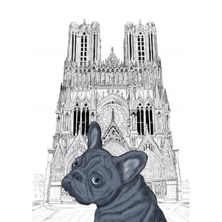 BULL-DOG FRANCAIS en promenade Rémoise à la cathédrale notre dame de Reims