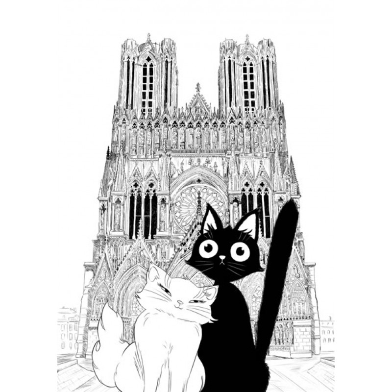 CHAT BLANC CHAT NOIR en promenade Rémoise à la cathédrale notre dame de Reims