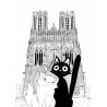 CHAT BLANC CHAT NOIR en promenade Rémoise à la cathédrale notre dame de Reims