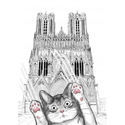 Chat C'EST PAS MOI en promenade Rémoise à la cathédrale notre dame de Reims