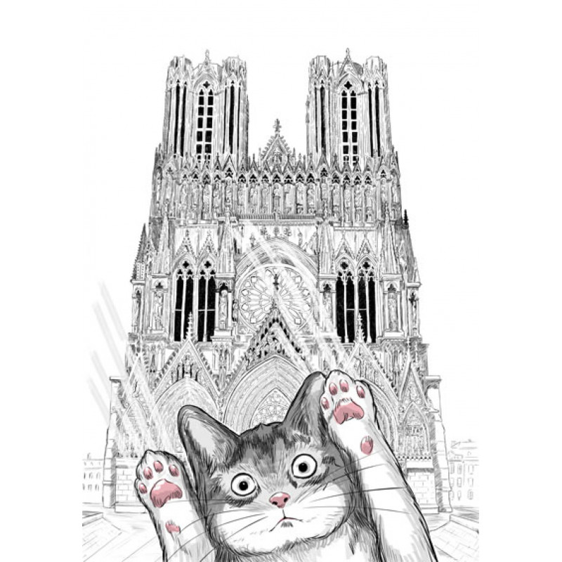 Chat C'EST PAS MOI en promenade Rémoise à la cathédrale notre dame de Reims