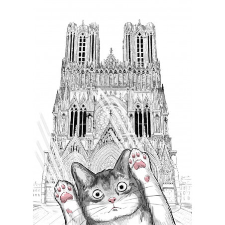 Chat C'EST PAS MOI en promenade Rémoise à la cathédrale notre dame de Reims