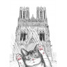 Chat C'EST PAS MOI en promenade Rémoise à la cathédrale notre dame de Reims