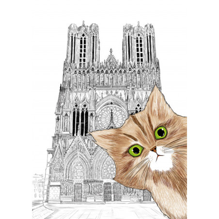 CHAT en promenade Rémoise à la cathédrale notre dame de Reims