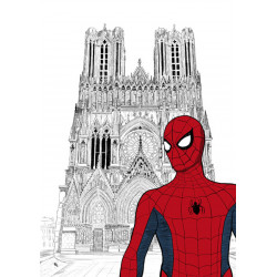 SPIDERMAN devant la cathédrale notre dame de Reims